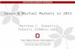 Grain & Biofuel Markets in 2015 Matthew C. Roberts Roberts.628@osu.edu.