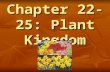 Chapter 22-25: Plant Kingdom. Multicellular Multicellular Eukaryotes Eukaryotes Autotrophs  carry out photosynthesis Autotrophs  carry out photosynthesis.