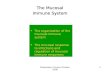 Musketeers Course October 20081 The Mucosal Immune System The organization of the mucosal immune systemThe organization of the mucosal immune system The