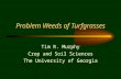 Problem Weeds of Turfgrasses Tim R. Murphy Crop and Soil Sciences The University of Georgia.