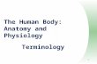 1 The Human Body: Anatomy and Physiology Terminology.