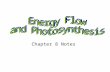 Chapter 8 Notes. Energy Flows Between Living Things Photosynthesis- process by which light energy is converted to chemical energy. Autotrophs-organisms.