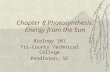 Chapter 8 Photosynthesis: Energy from the Sun Biology 101 Tri-County Technical College Pendleton, SC.