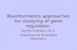 Bioinformatics approaches for studying of gene regulation. By Ilya Ioshikhes, Ph.D. Department of Biomedical Informatics.