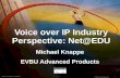 1Michael Knappe - 02/25/99 © 1999, Cisco Systems, Inc. Voice over IP Industry Perspective: Net@EDU Michael Knappe EVBU Advanced Products Michael Knappe.