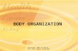Copyright 2003 by Mosby, Inc. All rights reserved. BODY ORGANIZATION.