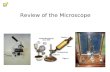 Review of the Microscope. Who Invented the Microscope? 2 - Some scientists have credited Zacharias Janssen of the Netherlands for inventing the optical.