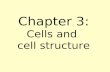 Chapter 3: Cells and cell structure. Cells A cell is the smallest unit of life. Each cell is alive and has all of the characteristics of life. Cytology.