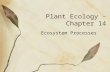 Plant Ecology - Chapter 14 Ecosystem Processes. Ecosystem Ecology Focus on what regulates pools (quantities stored) and fluxes (flows) of materials and.
