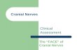 Cranial Nerves Clinical Assessment The “FACE” of Cranial Nerves.