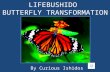 By Curious Ishidos. A Three Dimensional Comparison of the development of a butterfly to the different components of Lifebushido.
