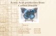 Acetic Acid production from Carbon Dioxide Done by Luluwa Al-Mutairi 203113380 Modhi Al-Nassar 203114383 Zainab Al-Fadhli 202113449.