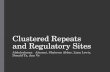 Clustered Repeats and Regulatory Sites Abdulrahman Alazemi, Shahroze Abbas, Liam Lewis, Donald Ta, Ann Vo.