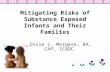 Mitigating Risks of Substance Exposed Infants and Their Families Dixie L. Morgese, BA, CAP, ICADC.