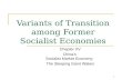 1 Variants of Transition among Former Socialist Economies Chapter XV China’s Socialist Market Economy: The Sleeping Giant Wakes.