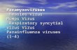 Paramyxoviruses Measles Virus Mumps Virus Respiratory syncytial virus Virus Parainfluenza viruses (1-4)