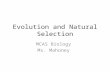 Evolution and Natural Selection MCAS Biology Ms. Mahoney.