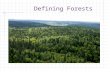 Defining Forests. Common Core/Next Generation Science Standards Addressed! MS ‐ LS2 ‐ 1.- Analyze and interpret data to provide evidence for the effects.