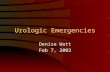 Urologic Emergencies Denise Watt Feb 7, 2002. Outline Cases Renal calculi –Epidemiology / pathophysiology –Clinical presentation –DI –Management Hematuria.