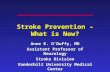 Anne E. O’Duffy, MD Assistant Professor of Neurology Stroke Division Vanderbilt University Medical Center February 12, 2007 Stroke Prevention –What is.