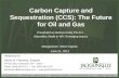 Carbon Capture and Sequestration (CCS): The Future for Oil and Gas Presented at Jackson Kelly PLLC’s Marcellus Shale in WV: Emerging Issues David M. Flannery,