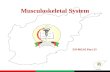 AFAMS Musculoskeletal System EO 003.01 Part 25. AFAMS Overview of Lesson (Insert Dari) Anti-inflammatory and anti-rheumatic products -Non-steroidal anti-inflammatories.
