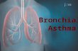 Bronchial Asthma. Bronchial Asthma One of the most common chronic diseases. One of the most common cause of absentees in schools. 287000 deaths per year.