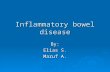 Inflammatory bowel disease By: Elias S. Maruf A..