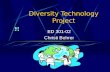 Diversity Technology Project ED 301-02 Christi Bohrer.