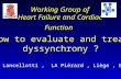Working Group of Heart Failure and Cardiac Function How to evaluate and treat dyssynchrony ? P Lancellotti, LA Piérard, Liège, BE.