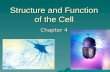Structure and Function of the Cell Chapter 4. 4.1 Discovering the cell…   1665 – Hooke looked at plants under the microscope and saw little boxes –