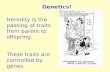Genetics! Heredity is the passing of traits from parent to offspring. These traits are controlled by genes.