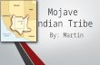 Mojave Indian Tribe By: Martin. Where did they lived. They lived in South Western California. They lived South Western Arizona. They lived near the Colorado.