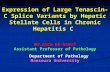 Expression of Large Tenascin-C Splice Variants by Hepatic Stellate Cells in Chronic Hepatitis C Dr.Amro El-karef Assistant Professor of Pathology Department.