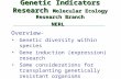 Genetic Indicators Research Molecular Ecology Research Branch NERL Overview- Genetic diversity within species Gene induction (expression) research Some.