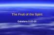 The Fruit of the Spirit Galatians 5:22-25. The Fruit of the Spirit  Motivation: the Holy Spirit (Gal. 5:25) –The “Walk of Grace”: walking “by the Spirit”