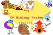 CP Biology Review Yea!!!!!. Steps in the Scientific Method… Observe~ always observing the world around us!! 1. ask questions 2. form hypothesis 3. experimentation.