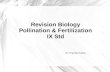 Revision Biology Pollination & Fertilization IX Std Dr. Pramila Kudva.
