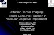 Diffusion-Tensor Imaging: Frontal Executive Function in Vascular Cognitive Impairment Stephen Salloway, MD Stephen Correia, PhD Paul Malloy, PhD William.