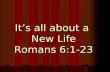 It’s all about a New Life Romans 6:1-23. Romans five Paul has shown to the readers that through salvation Christians have: Peace with God,Christian Hope.