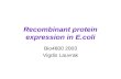 Recombinant protein expression in E.coli Bio4600 2003 Vigdis Lauvrak.