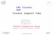 Tracker Support Tube Tracker EDR November 15th/16th 2000 M.Oriunno CERN/EP Tracker Support Tube Marco Oriunno CERN/EP Division on behalf of Tracker Integration.