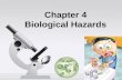 Chapter 4 Biological Hazards. Biological Hazards Acquired from disease- causing microorganisms and the poisonous toxins they may produce. They are far.