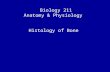 Biology 211 Anatomy & Physiology I Histology of Bone.