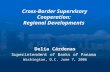 Cross-Border Supervisory Cooperation: Regional Developments Delia Cárdenas Superintendent of Banks of Panama Washington, D.C. June 7, 2006.