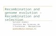 Recombination and genome evolution – Recombination and selection Sylvain Glémin Institut des Sciences de l’Evolution - Montpellier glemin@univ-montp2.fr.