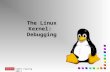 CS591 (Spring 2001) The Linux Kernel: Debugging. CS591 (Spring 2001) Accessing the “Black Box” n Kernel code: n Not always executed in context of a process.