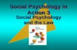 Aronson Social Psychology, 5/e Copyright © 2005 by Prentice-Hall, Inc. Social Psychology in Action 3 Social Psychology and the Law.