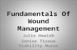 Fundamentals Of Wound Management Julie Hewish Senior Tissue Viability Nurse.