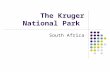 The Kruger National Park South Africa. History 1806 British secured possession of the Cape colony from the Dutch 1835-1837 The Great Trek The Boers trek.